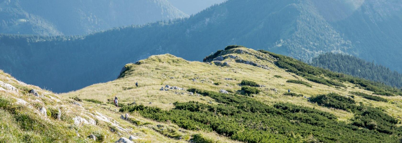 Bergsommer am Ötscher, © Ludwig Fahrnberger