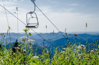 Doppelsessellift Großer Ötscher, © Ludwig Fahrenberger