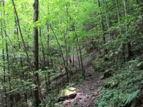 Auf Waldwegen geht's hinauf zur Höhle, © Mostviertel