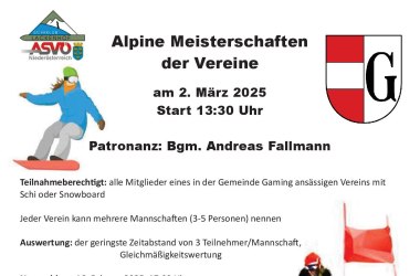 Alpine Meisterschaften der Vereine Gaming, © Alpine Meisterschaften der Vereine Gaming