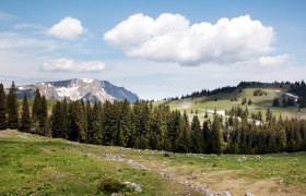 Feldwiesalm, © Mostviertel