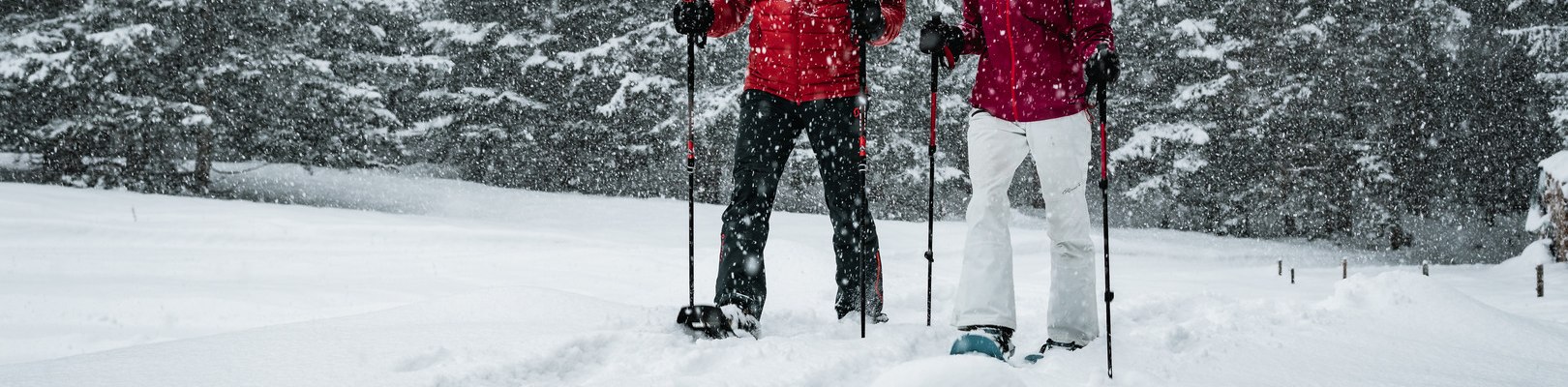 Schneeschuhwandern, © Gerald Demolsky