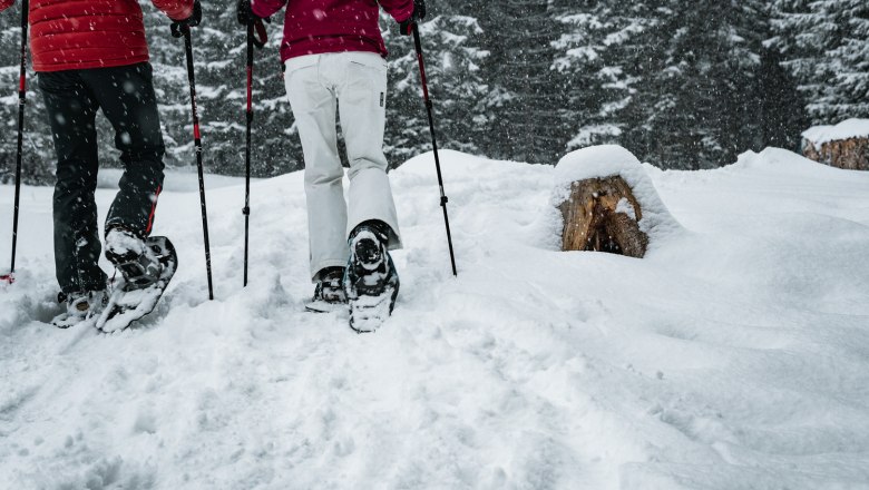 Schneeschuhe , © Gerald Demolsky