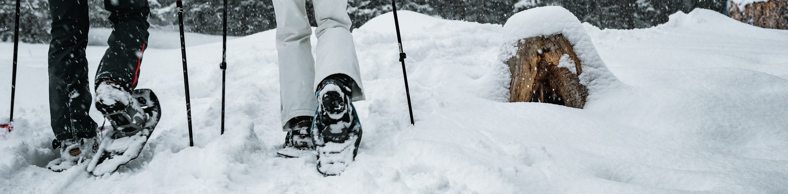 Schneeschuhe , © Gerald Demolsky